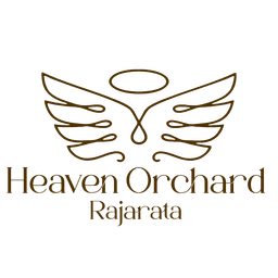 Infinity Heavens