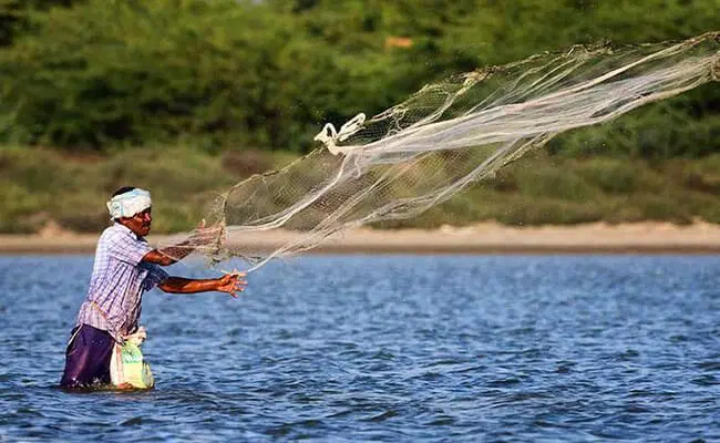 Village Lake Fishing Experience