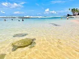 Wijaya Beach